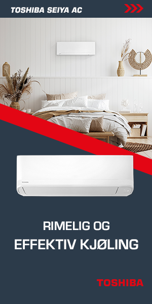 Seiya AC_300x600_va╠&egrave;r.png