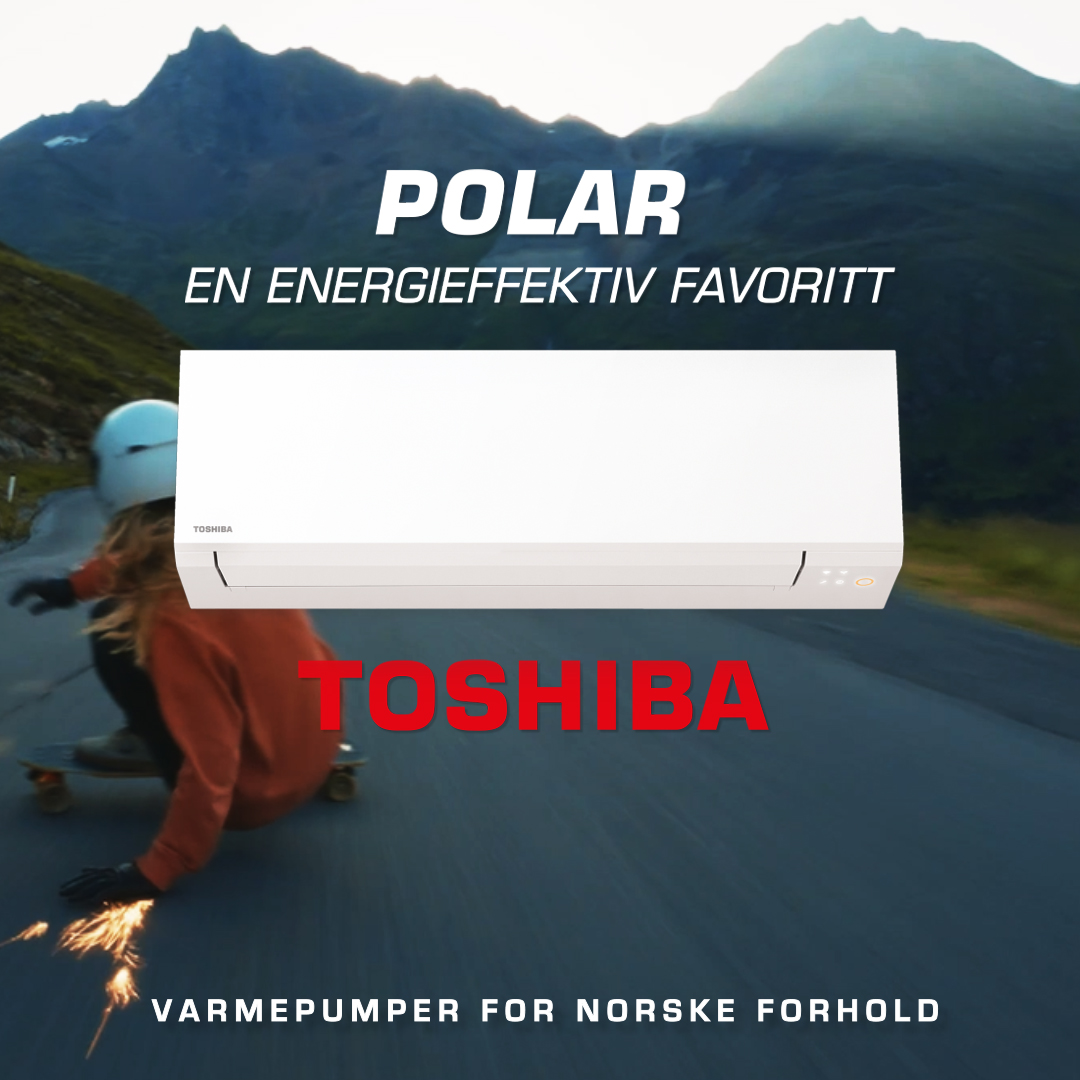 Toshiba_1080x1080_H&Oslash;ST_Skate_downhill_POLAR_2024 kopi.jpg